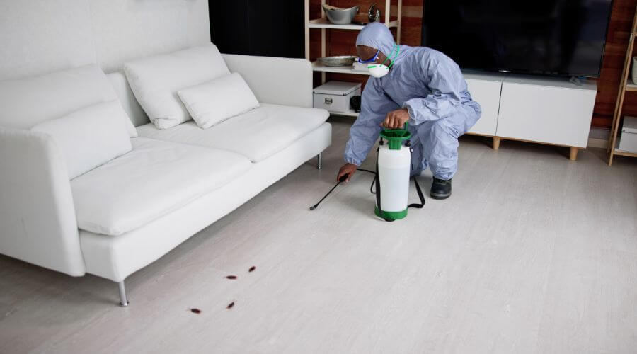 Why choose Pennsville Termite  Pest Control for pest control services in Pennsville