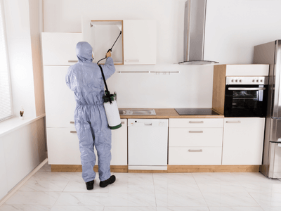 About Pennsville Termite Inspection Services - Termite Inspection experts in Pennsville